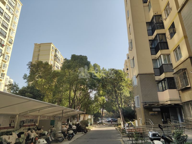 高行绿洲三期2877359周边环境图10