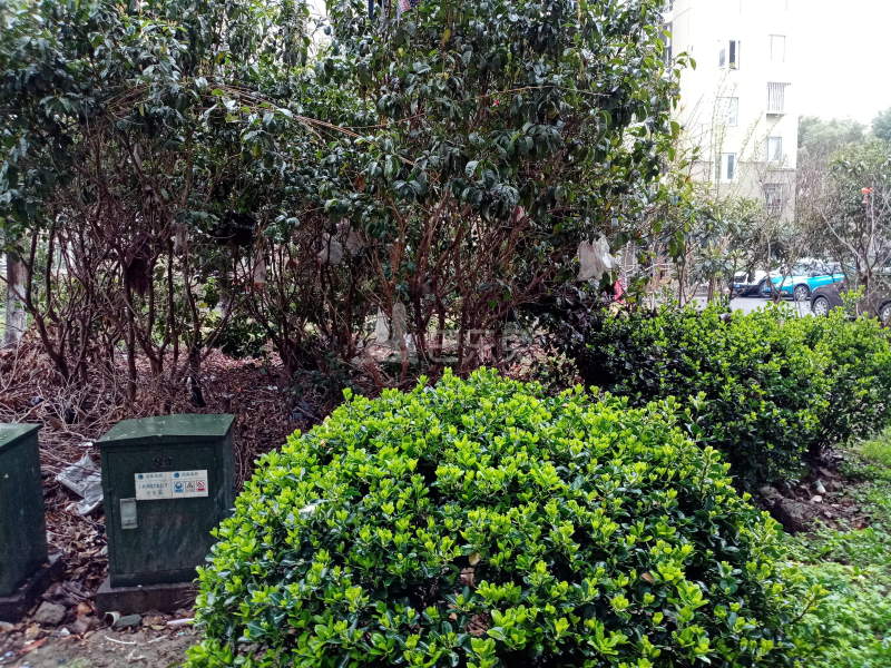 高行绿洲三期2877359周边环境图12