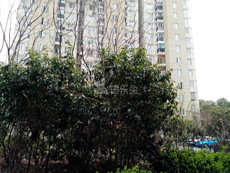 高行绿洲三期2877359周边环境图14