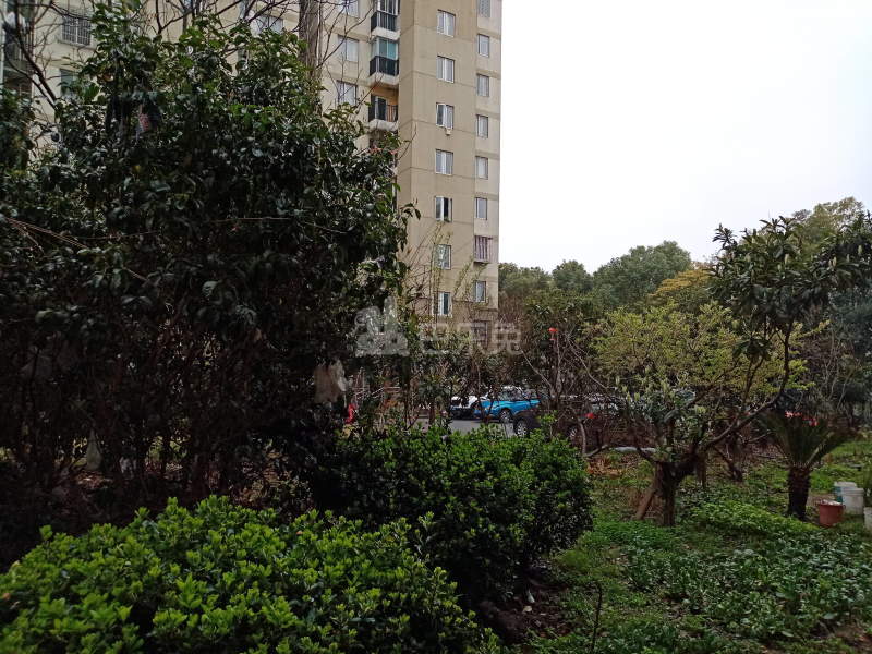 高行绿洲三期2877359周边环境图13