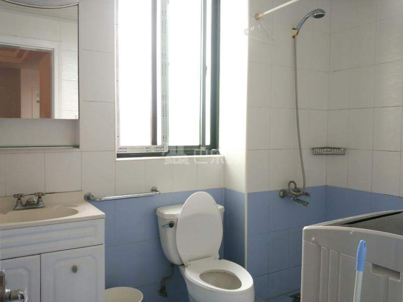 环龙新纪园2962240卫生间图2