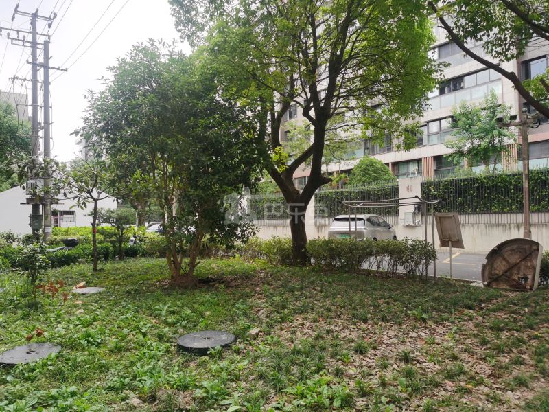 海通新村3013741周边环境图5