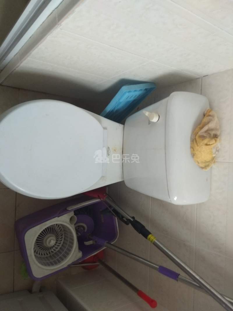 申城佳苑一期C块8642282卫生间图15