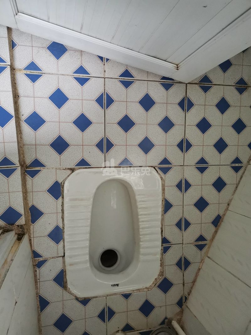 南油生活B区3062007卫生间图7