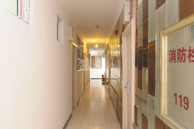 荔子公寓3177806周边环境图16