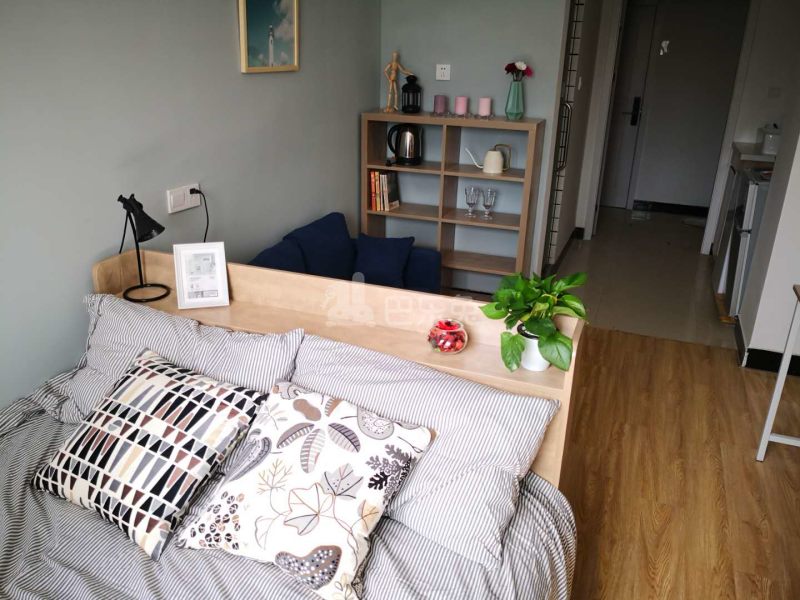 无砎公寓（常府街店）3555712周边环境图6