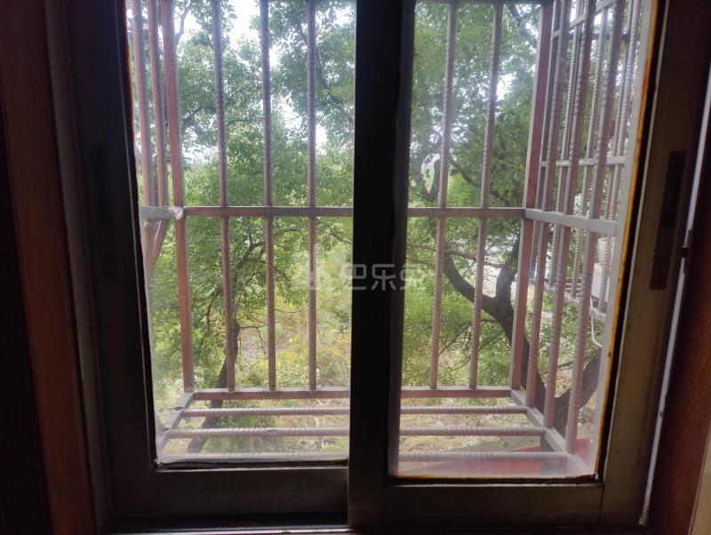 放鹤路2426号3766073卧室窗户图9