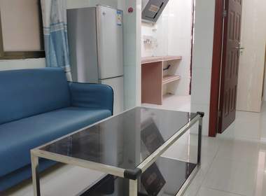 臻美时尚公寓（望岗塘田街11号） 2室1厅1卫