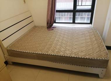 臻美时尚公寓（望岗果园街七巷4号） 2室1厅1卫