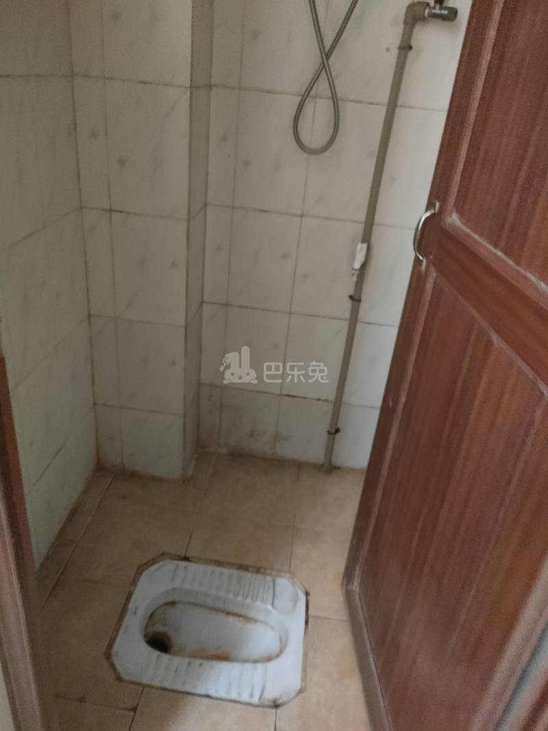 平安公寓（镇北大街一巷8号）4031274卫生间图10