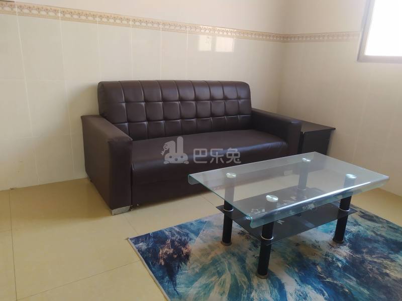 礼村大市街猪鼻巷2号4078694客厅图3