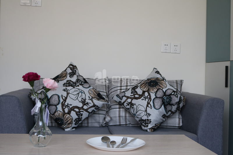 屋企公寓4092250客厅图5