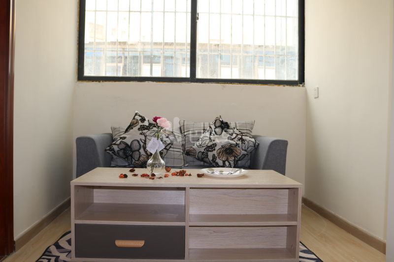 屋企公寓4092551客厅图6