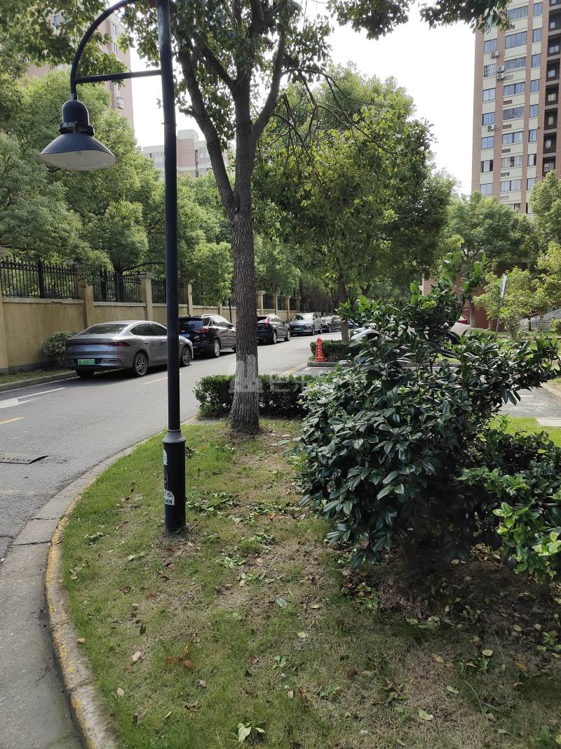 申城佳苑一期C块8642282周边环境图17