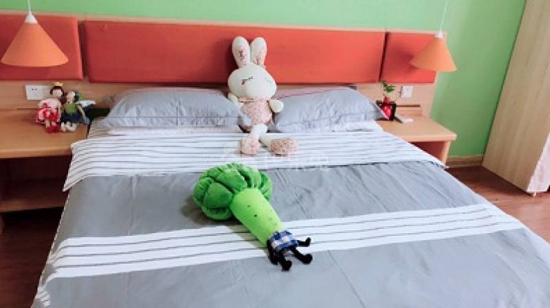 青巢公寓（南京永宁路店）4263551周边环境图5