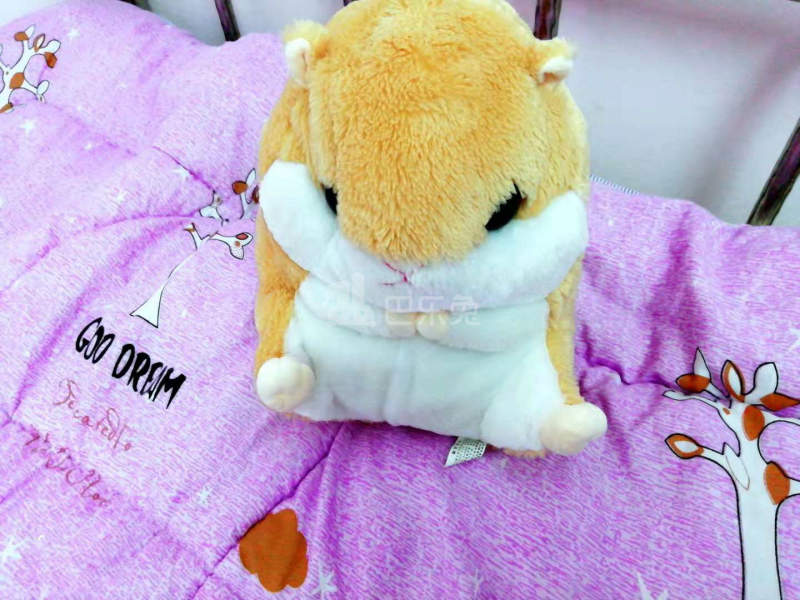 守珍公寓A栋4398473卧室图1