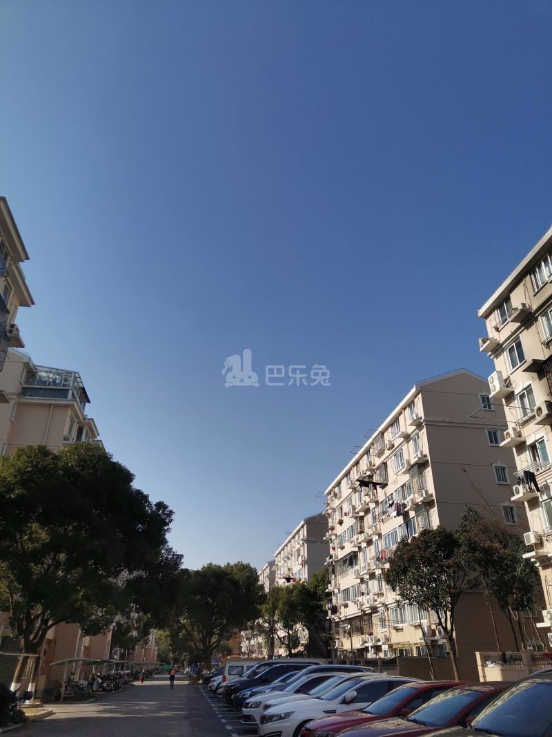 春辉新村4424139周边环境图12