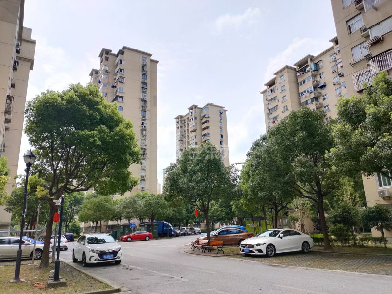 三林新村3区4745307周边环境图5