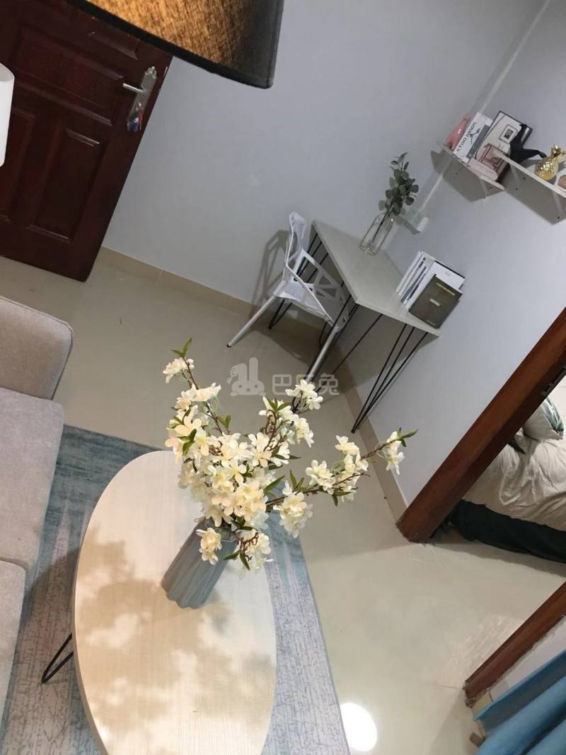 1918公寓（民治店）4501727客厅图5