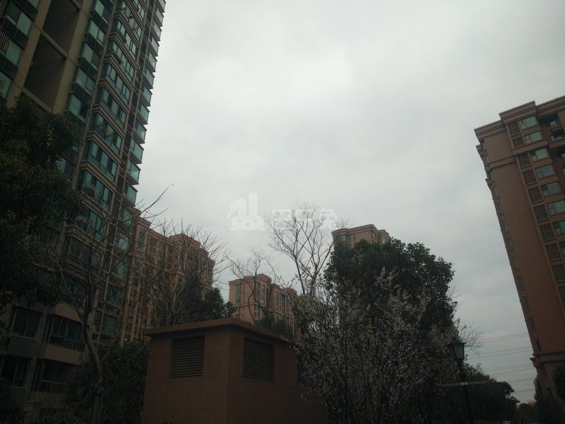 绿洲康城亲水湾中央区4510216周边环境图9