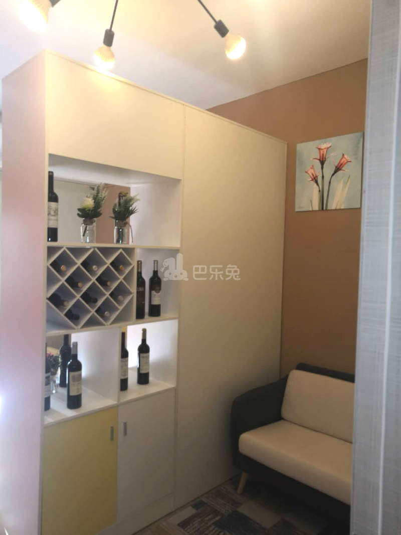 青壳公寓4510778客厅图2