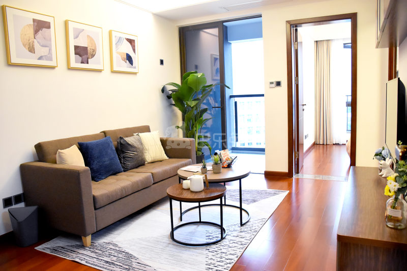 中执朗寓（红山站店）4537162客厅图5