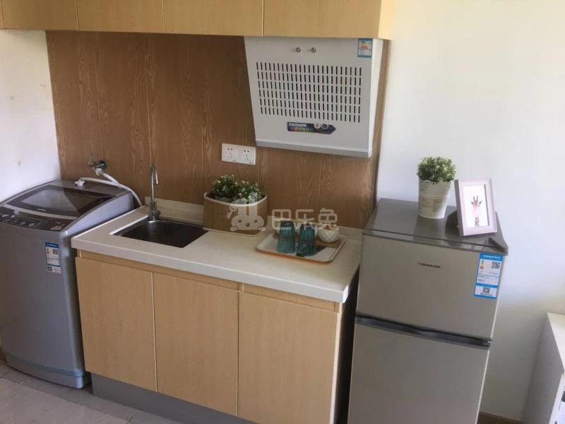 宅幸福公寓4554962厨房图5