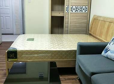 龙辉公寓 1室0厅1卫