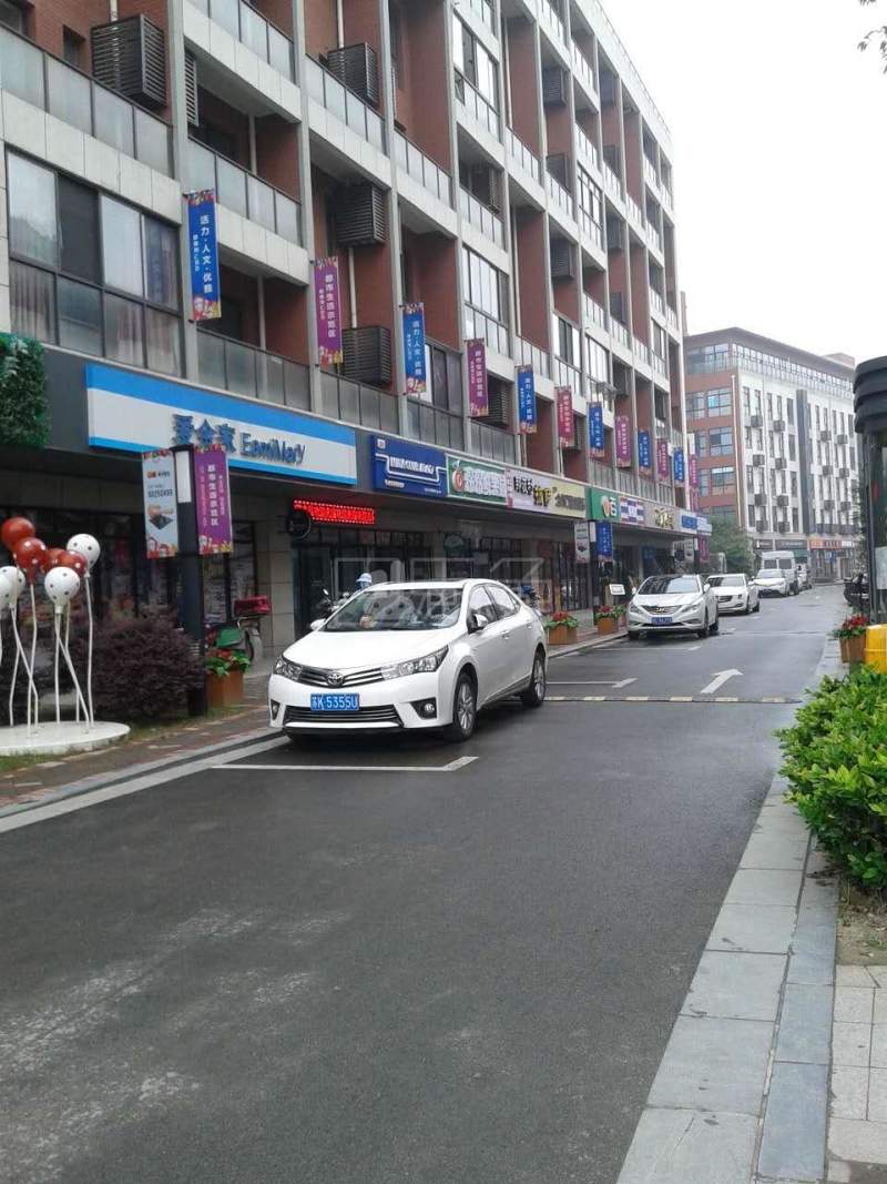 嘉定通用国际（昱翔佳苑）15083123周边环境图8