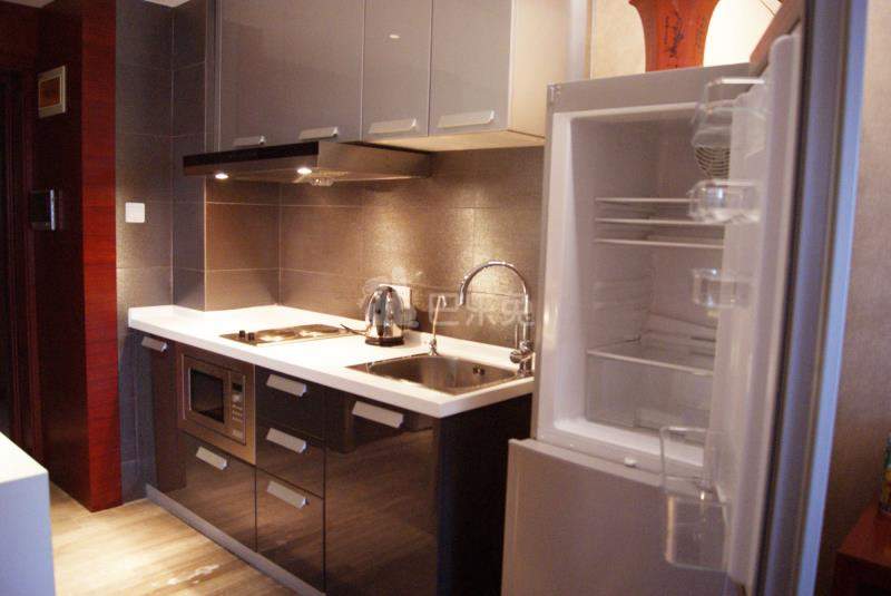 珠江路酒店式公寓4605220厨房图4