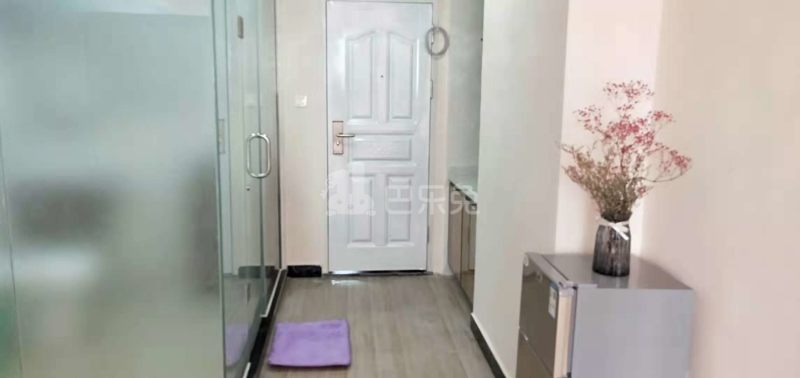 乐美居公寓4613525客厅图3