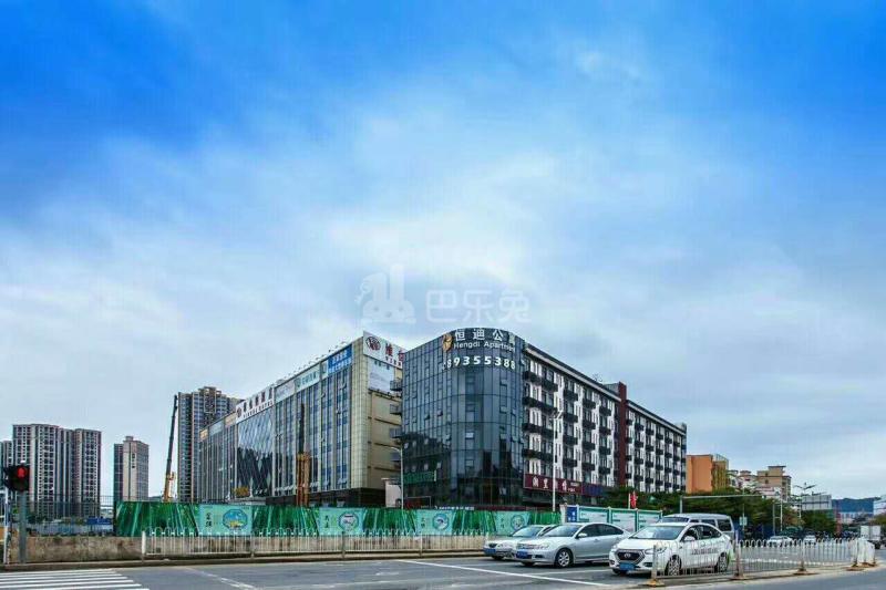 恒迪公寓（平湖店）4627726周边环境图6