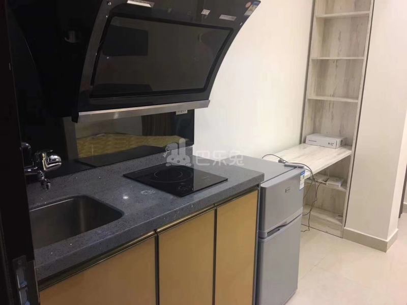 庭苑公寓（町寓5期店）4654982厨房图3