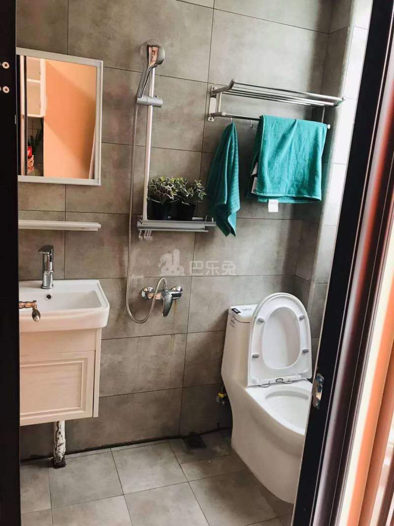 庭苑公寓（紫荆店）4655003卫生间图5