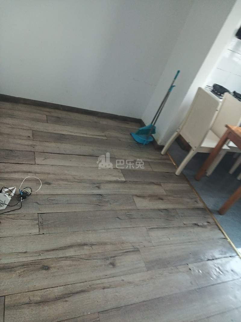 庐秀新苑西区（小桥浜11弄）4676237客厅图4