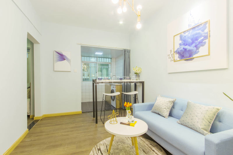 鲤鱼公寓（共和花园店）4676444客厅图3