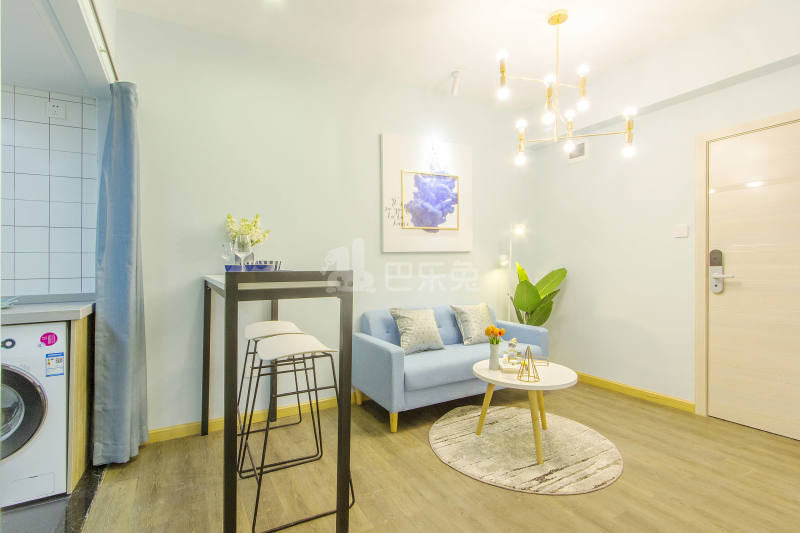 鲤鱼公寓（共和花园店）4676444客厅图4