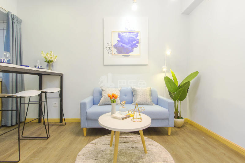 鲤鱼公寓（共和花园店）4676444客厅图5