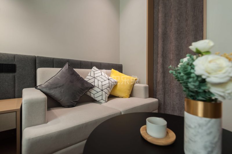 城家高级公寓深圳红岭北地铁站店4680030客厅图4