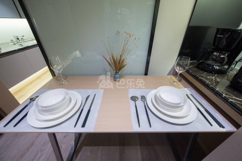 城家高级公寓深圳红岭北地铁站店4680030客厅图5