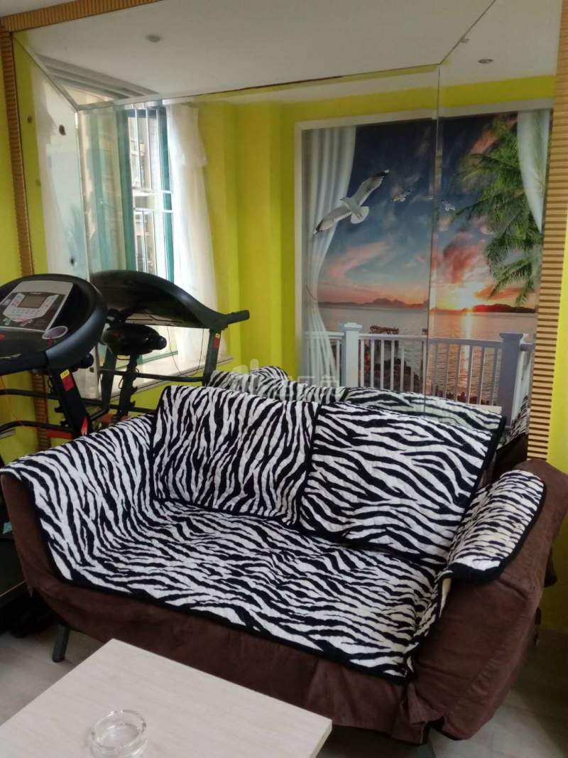 星月公寓（福田）4688521客厅图3