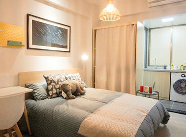 鲤鱼公寓（东二店） 1室0厅1卫