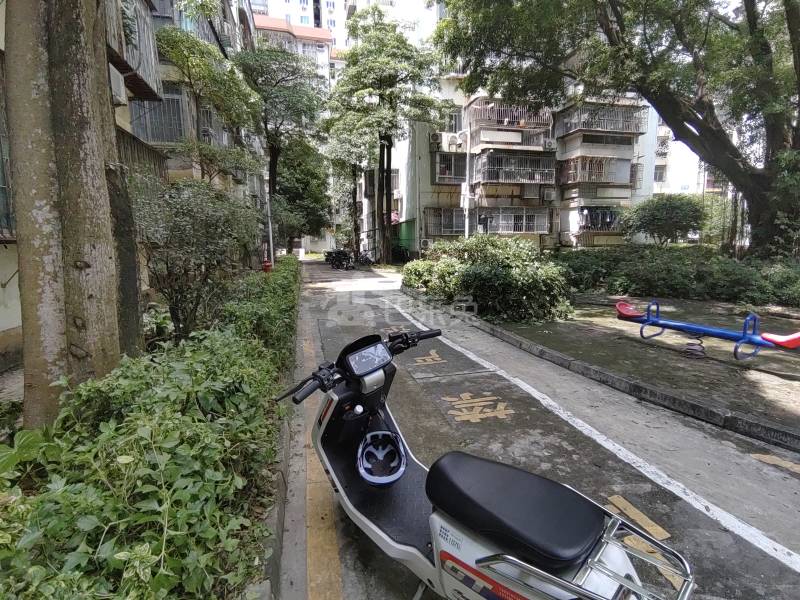 南油生活B区4699428周边环境图6