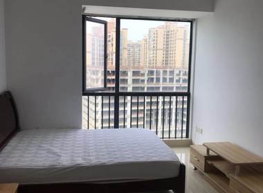 西格公寓 1室0厅1卫