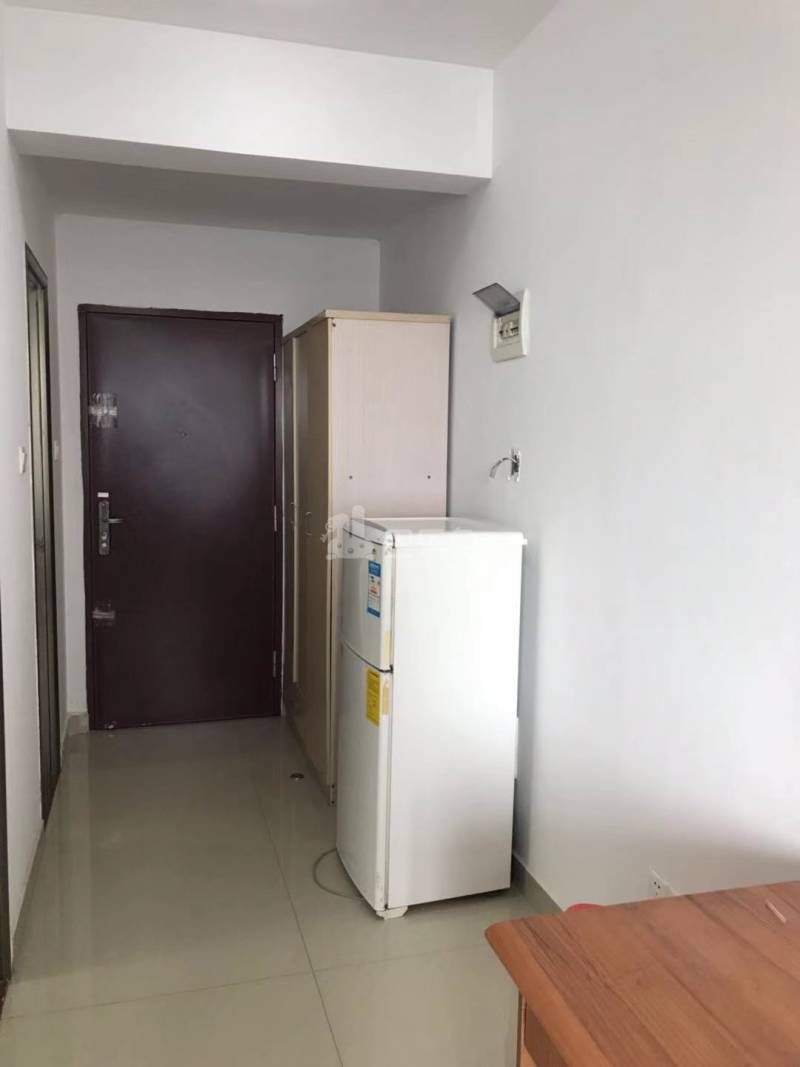 西格公寓4739057客厅图4