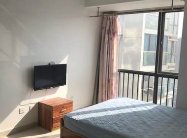 西格公寓 1室0厅1卫