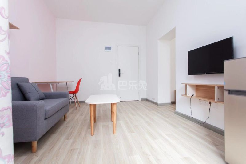 盛夏公寓4749185客厅图2