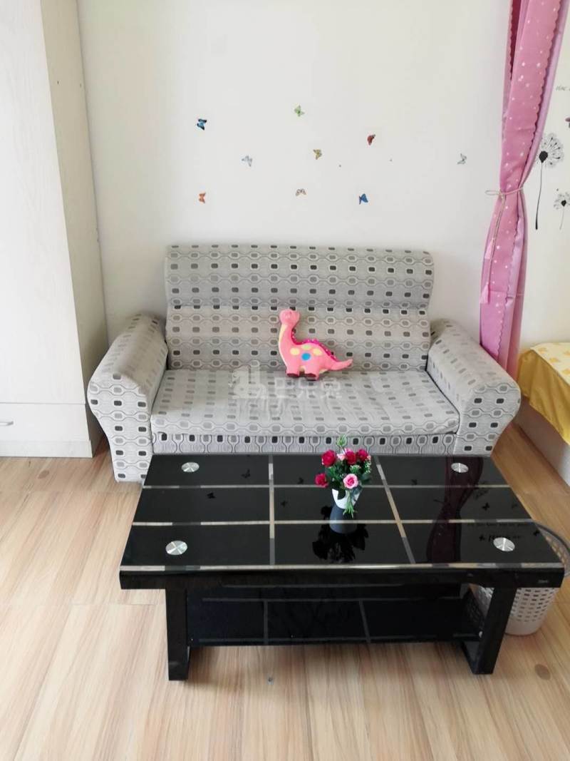 小时光公寓4758349客厅图4