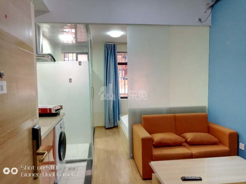 伴山公寓4785378客厅图5