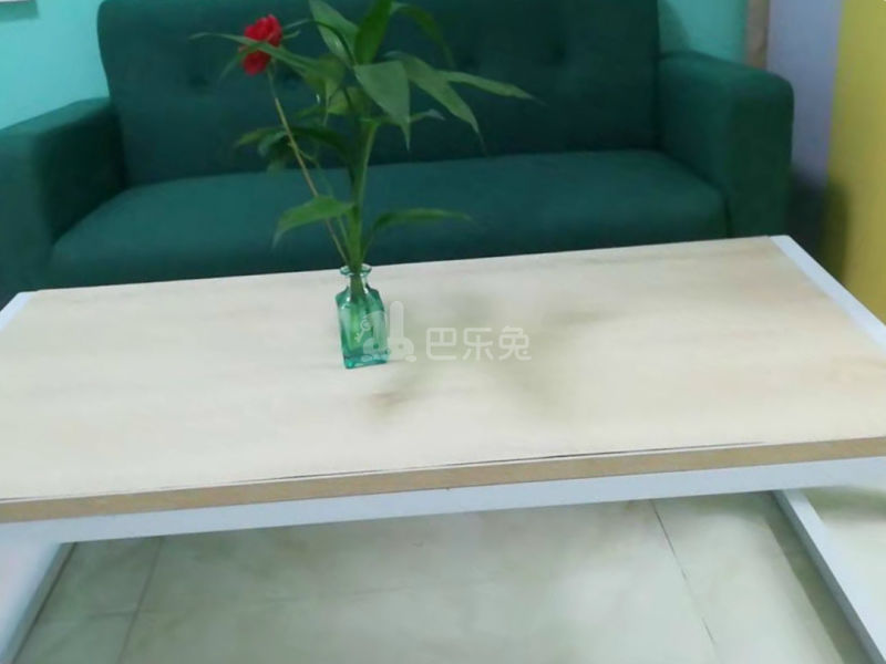 睿智公寓4791264客厅图4